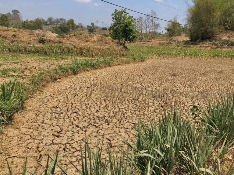 Strategi Menghadapi El Nino Sektor Pertanian dengan Solar Pump